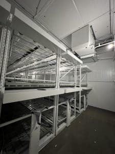 Trellis Netting