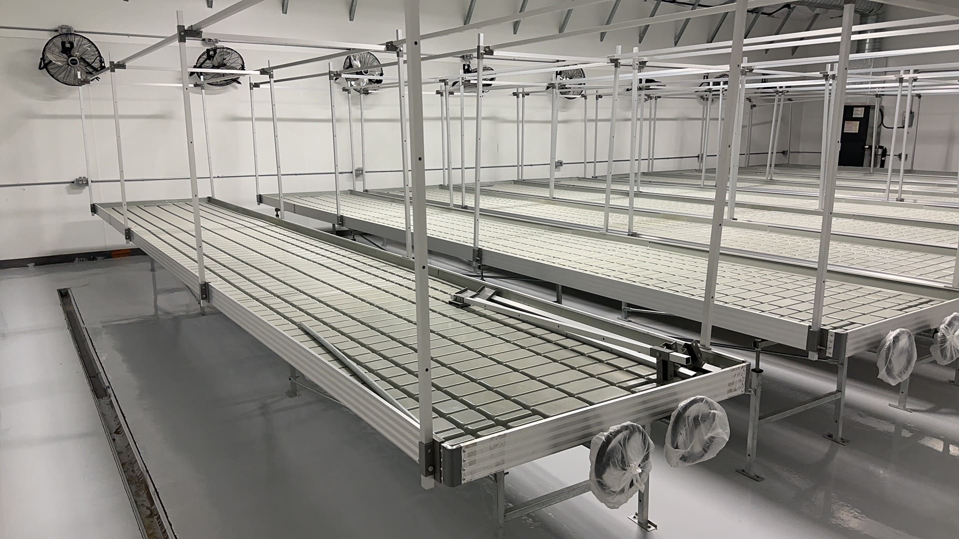 Commercial rolling bench installation in a controlled grow room